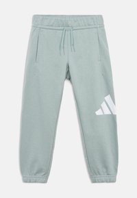 Jasnozielone spodnie dresowe z elastycznym pasem, sznurkiem do regulacji, dwoma bocznymi kieszeniami oraz białym logo Adidas na lewej nogawce.