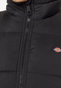 Dickies Vesta - black
