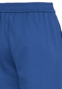 Shorts de sport bleus avec une ceinture élastique, fabriqués en tissu lisse, offrant une coupe ample sans poches ni motifs visibles.