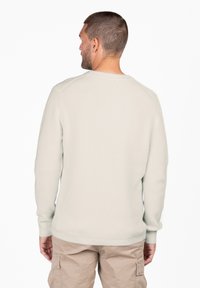 Helles graues, strukturiertes Sweatshirt mit geripptem Design, rundem Halsausschnitt und enganliegenden Bündchen, kombiniert mit beigen Cargo-Hosen. Rückansicht gezeigt.