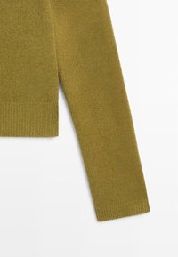 Manche longue d'un pull en tricot vert olive avec poignets et ourlet côtelés sur fond blanc.