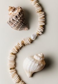 Kaklarota, kurā ir gludas, bālas diska formas daļiņas un zelta akcenti, kopā ar divām gliemežvāku formām, no kurām viens ir spirālis, novietota uz gaiša fona.