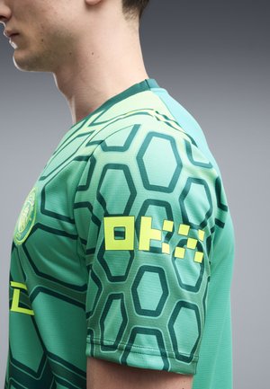 Puma, MANCHESTER CITY TORWART, zielony