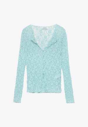 Svetlo modri cardigan z teksturiranim, odprtoknitim dizajnom, ki ima šal ovratek in zapiranje na gumb. Dolgi rokavi dopolnjujejo videz.