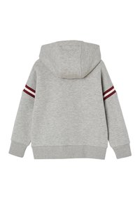 Gray hoodie with a soft texture, featuring a hood and maroon striped accents on the sleeves. Finished with ribbed cuffs and hem.