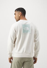 The North Face RAGLAN BOX CREW - Sweatshirt - white dune/muted pine
