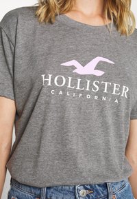 Grå bomullströja med korta ärmar, med en vit "HOLLISTER"-logotyp och en rosa mås grafik. Avslappnad passform, rund hals.