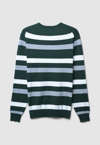 Pull vert avec des rayures horizontales en gris et blanc. Fabriqué en matériau doux avec des poignets et un ourlet côtelés, et un col rond.
