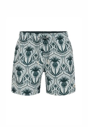 WE Fashion, Shorts da mare - green/blue
