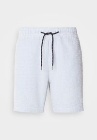 Striped swim shorts in light blue and white, featuring an elastic waistband with a navy drawstring and small silver metal tips.