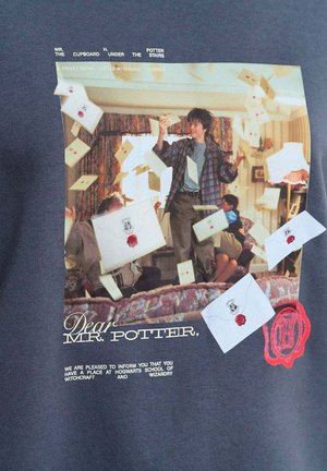 Bluza z nadrukiem przedstawiająca scenę z filmu z osobą w koszuli w kratę i niebieskiej koszuli, otoczoną unoszącymi się literami z woskowymi pieczęciami. Tekst brzmi "Drogi panie Potter."