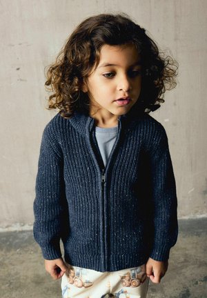Name it, NMMNORMAN LS KNIT CARD - Vest - ombre blue