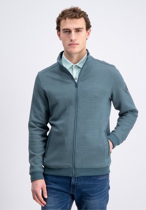 Jonge man met krullend haar, een teal ritsjack gedragen over een lichtblauw overhemd met kraag, staand tegen een effen achtergrond.