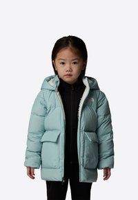 The North Face Zimní kabát - muted pine