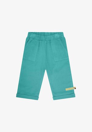 Pantaloni di velluto a coste turchesi con elastico in vita, due tasche frontali e orli arrotolati. Presenta un'etichetta laterale con "loud + proud."