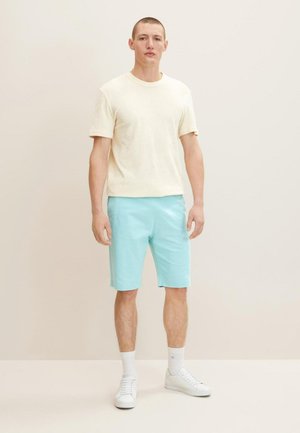 INTEGRIERTEM GÜ - Pantaloni sportivi - mint haze