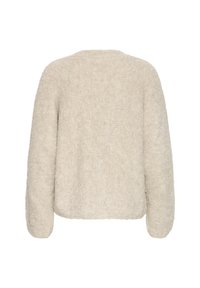 Pull beige à manches longues et pelucheux vu de dos avec un col rond et un tissu doux et texturé.