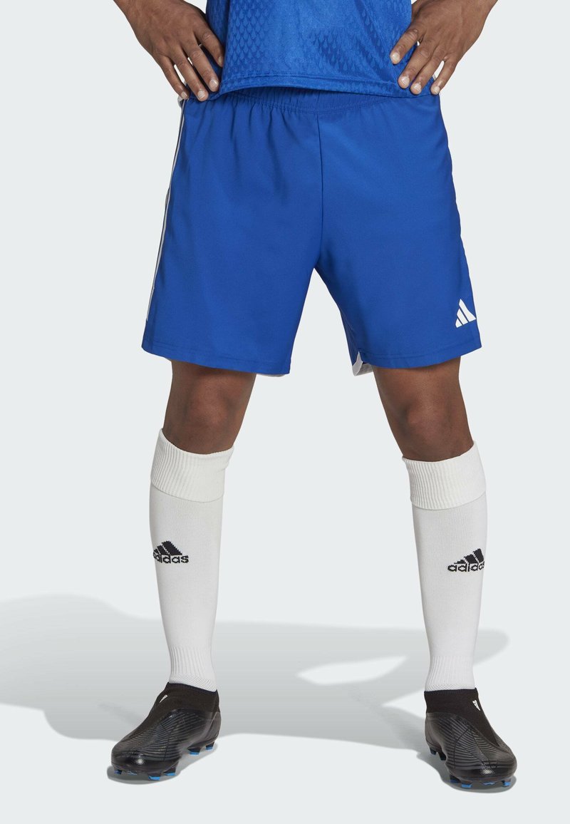 adidas Performance TIRO 23 COMPETITION MATCH  - Korte broeken - royal blue   white