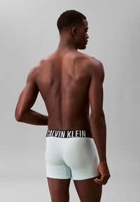 Mintgrüne Boxer-Slips mit einem schwarzen Calvin Klein-Logo-Bund. Das Modell steht mit bloßem Rücken und zeigt die glatte Stoffstruktur.