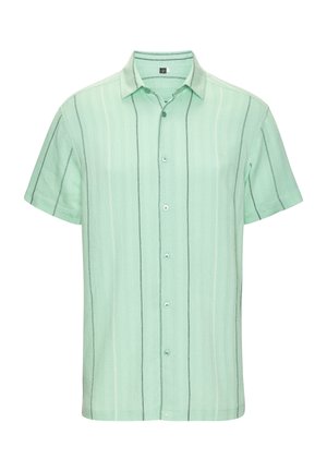 Light green short-sleeve button-up shirt with vertical thin black and white stripes and a classic collar.