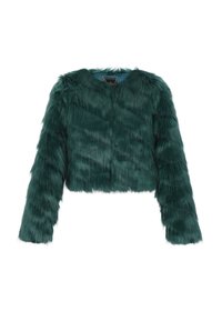 Winterjas - dunkelgrün