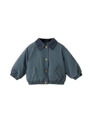 Chaqueta para niño pequeño de color verde oscuro con cuello de pana, botones de presión, puños elásticos y dos bolsillos frontales sobre un fondo blanco.