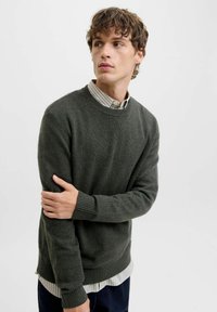 Mørkegrøn sweater lavet af struktureret stof, med klassisk rund hals og ribbede manchetter. Båret over en krave, stribet skjorte.