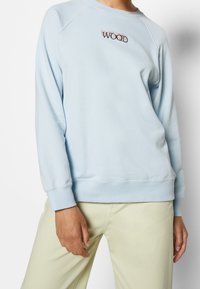 Sudadera azul claro hecha de tejido suave. Presenta mangas raglán y un escote redondeado con "WOOD" bordado en el pecho en colores contrastantes.