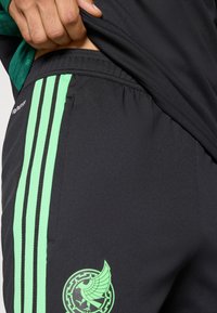 Black athletic shorts made of smooth material, featuring green side stripes and a circular logo design on the lower leg.