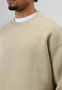 Beige sweatshirt gemaakt van zacht materiaal. Voorzien van een ronde hals, geribbelde halslijn en oranje geborduurde tekst op de voorkant met de tekst "dreams Chasing NOT deadlines."