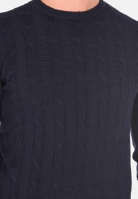 Pullover navy lavorato a maglia con collo rotondo, caratterizzato da un motivo a trecce testurizzato e polsini a costine. Il tessuto sembra morbido ed elastico.