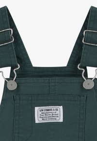 Tmavě zelené pracovní kalhoty s stříbrnými kovovými doplňky, nastavitelnými popruhy a bílou štítkem s informacemi o značce a produktu přišitým na látku.