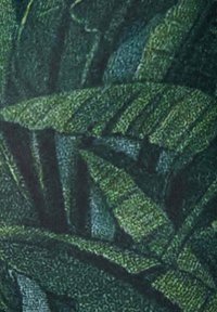 Stof met een close-up van groene bladvormen, waarbij verschillende tinten groen en textuurdetails op een donkere achtergrond worden getoond.