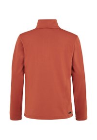 Lange mouwen, roestkleurige pullover met een hoge kraag. Gladde textuur, geen zichtbare patronen of hardware. Bevat een klein logo op de zoom.