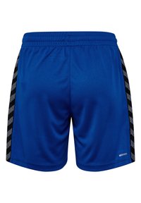 Blå sportshorts med svarta sidostriped som har ett rutmönster. Tillverkade av lättviktigt material, med elastisk midja.