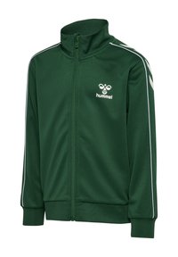 Grüne Trackjacke aus glattem Stoff, mit hohem Kragen, weißen Akzentstreifen und einem Logo auf der Brust. Mit Reißverschluss.