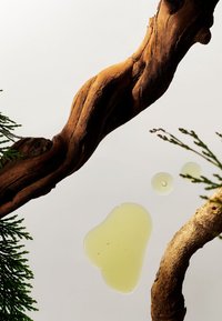 Ramo di legno con una superficie текстurizzata, circondato da fogliame verde e gocce di liquido giallo-verde, impostato su uno sfondo chiaro.