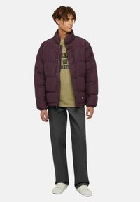 Giacca puffer viola con colletto a coste, chiusura con zip e bottoni a pressione, texture trapuntata. Abbinata a una camicia verde oliva e pantaloni scuri.