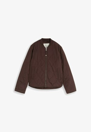 TOM TAILOR, TOM TAILOR JACKEN STEPPJACKE MIT BOMBERKRAGEN - Chaqueta de entretiempo - java dark brown