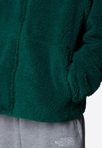 The North Face CAMPSHIRE - Forro polar - evergreen