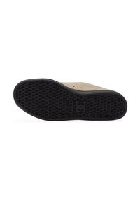 DC Shoes CRISIS 2 - Tenisice za trening - silver birch - solid