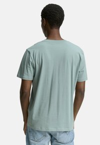 Ljusgrön bomulls-t-shirt med kort ärm, rund halsringning och en avslappnad passform. Strukturert tyg med slät yta, visad från baksidan.