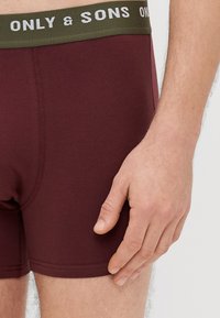 Bordowe bokserki z zielonym paskiem w pasie, na którym jest biały napis "ONLY & SONS". Gładki bawełniany materiał o dopasowanym kroju.