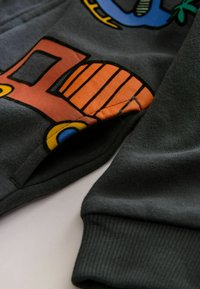 Grå sweatshirt med et farverigt lastbilgrafik, med orange og blå accenter. Blødt bomuldsstof, ribbede manchetter og glat tekstur.