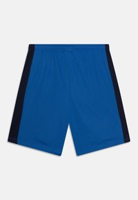 Blaue Sportshorts mit einem navyfarbenen Seitestreifen, elastischem Bund, glatter Textur und knielangem Design. Keine Taschen oder Verschlüsse sichtbar.