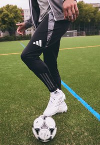 adidas Performance ALGERIA FAF TRAINING PANT - Article de supporter d'équipe nationale - black/team dark grey