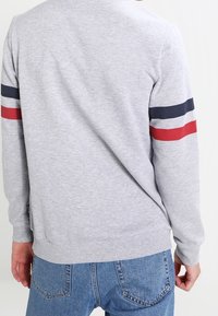 Grauer Sweatshirt mit langen Ärmeln, das dunkelblaue und rote Streifen an den Ärmeln aufweist. Glatte Textur, runder Ausschnitt und gerippter Saum.