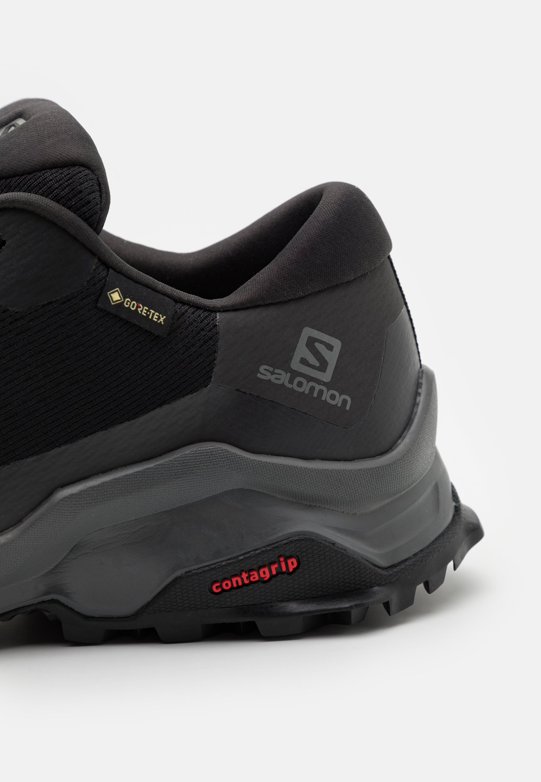 Salomon X REVEAL GTX - Hiking shoes 