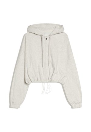 Hoodie gris clair court avec fermeture éclair à l'avant, cordons au niveau de l'ourlet et de la capuche, manches longues avec poignets élastiques, présenté sur fond blanc.
