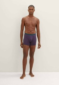 TOM TAILOR 4 PACK - Ozke boksarice - lila dunkel uni